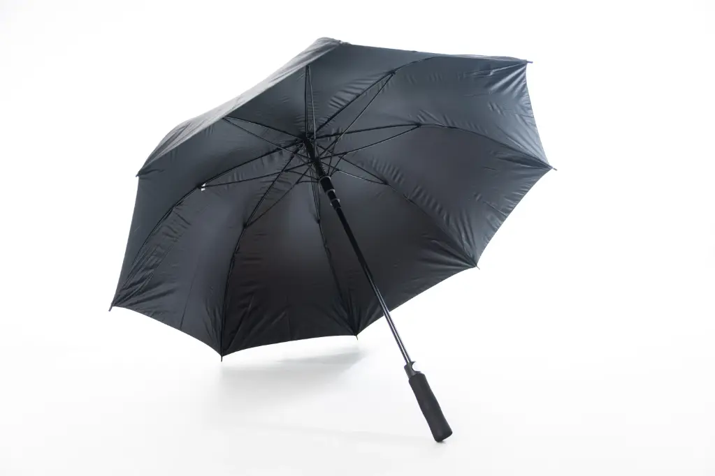 Зонтик Президент